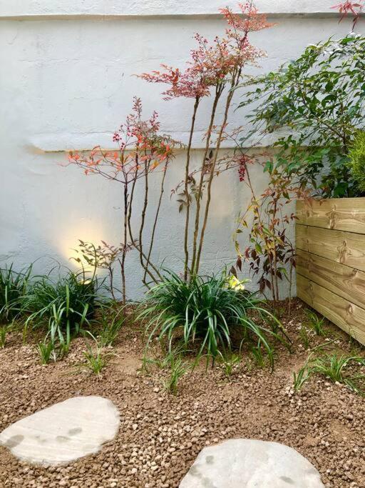 Hongdae Sunlight House-3room2bath 펜션 서울특별시